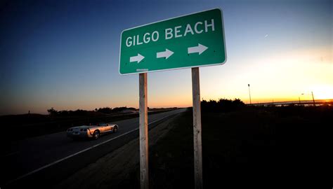 Gilgo Beach serial killings: FBI tracking lead to Alabama over 'Peaches ...