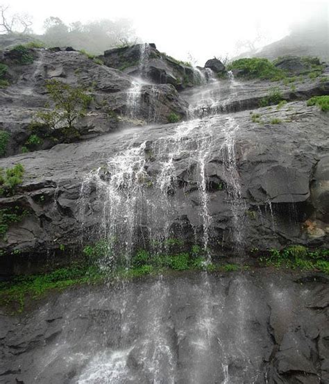 Konkan Tribune: Konkan Monsoon Photos