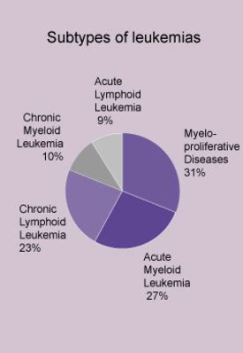 Types of Leukemia | Symptoms of Leukemia | Leukemia Treatment: Types of ...