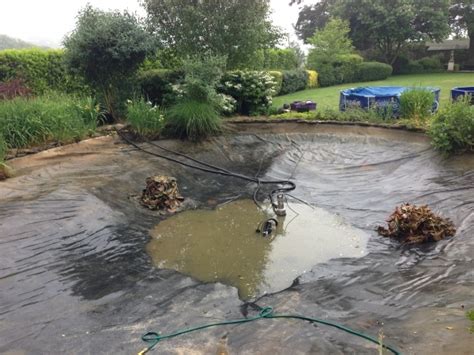 Pond Maintenance and Cleaning - The Pond Guys