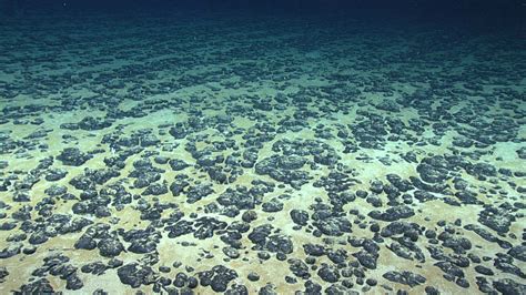 Searching for Historic Deep-sea Mining Impacts on the Blake Plateau: 2019 Southeastern U.S. Deep ...