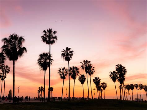 Venice Beach Sunset Wallpapers on WallpaperDog