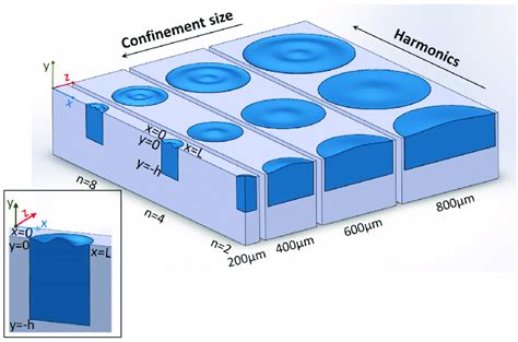 A schematic representation of capillary waves within filters (physical... | Download Scientific ...