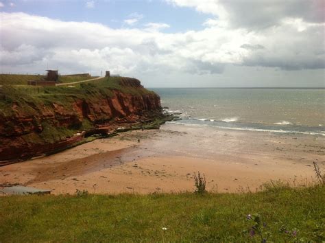 Devon cliffs (June 2011) | Devon cliffs, Beach, Outdoor