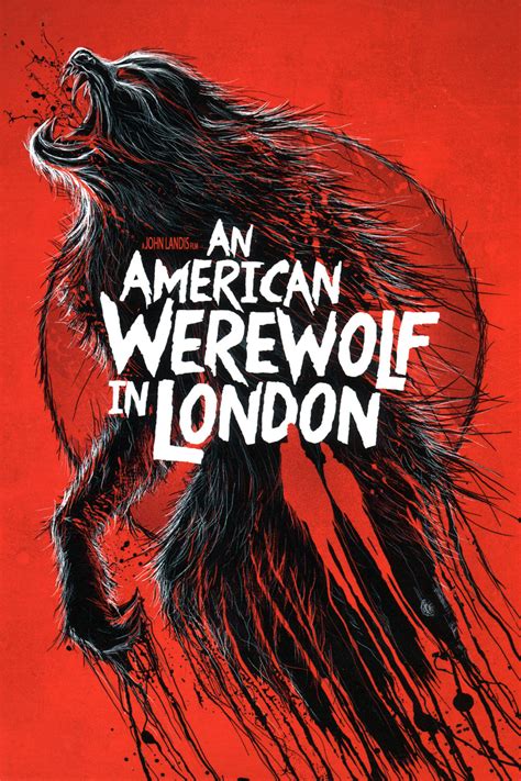 An American Werewolf in London (1981) - Posters — The Movie Database (TMDB)