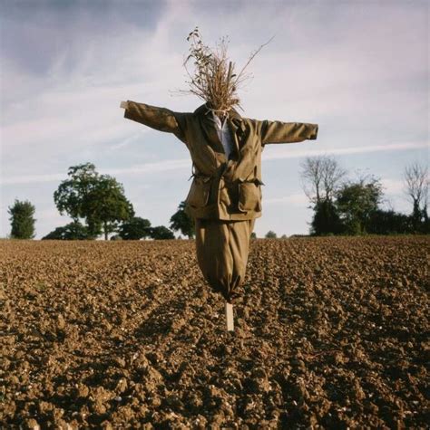 Avitar in a corn field. ... | Scarecrow, Scary scarecrow, Shot photo