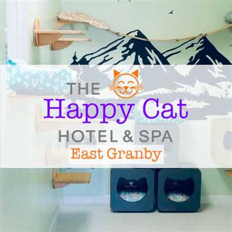 Happy Cat Hotel | Luxury Cat Boarding & Cat Grooming