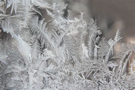 Variety of Frost Patterns on a Winter Window Stock Image - Image of ...