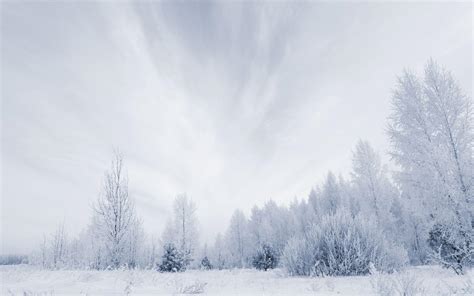 Snowy Forest Wallpapers - Wallpaper Cave