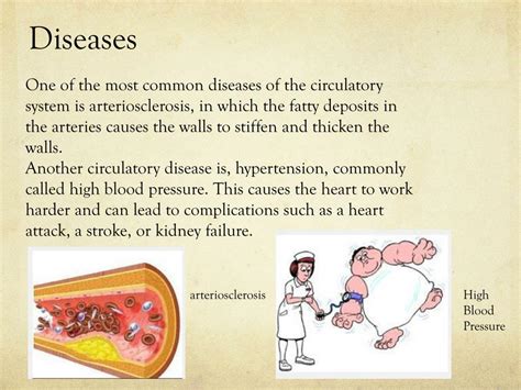 PPT - The Circulatory System PowerPoint Presentation, free download ...