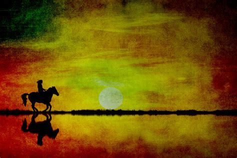 Horse Silhouette Sunset Free Stock Photo - Public Domain Pictures