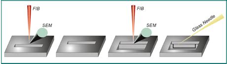 Steps for prethinned TEM sample preparation using CrossBeam technology. | Download Scientific ...