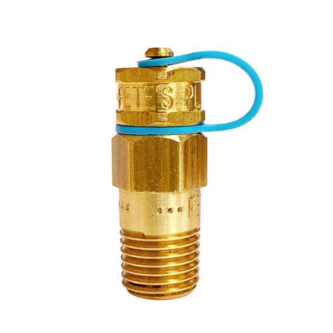 Pete's Plug #100 Brass Pressure or Temperature, PT Test Plug with Neoprene Core - BriceBarclay