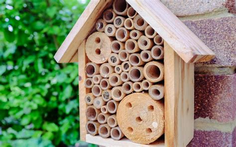 How to build a bee hotel - Woodland Trust