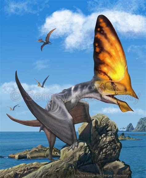 133 best Pterosaurs - the Flying reptiles images on Pinterest | Prehistoric animals, Dinosaurs ...