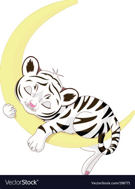 Tiger cub Royalty Free Vector Image - VectorStock