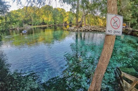 How to Plan a Ginnie Springs Camping Trip in 2019 | Angie Away Florida ...