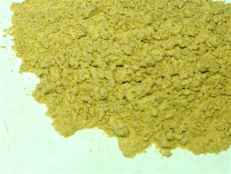 Buy Dong Quai Root Powder - Dong Quai Extract Powder