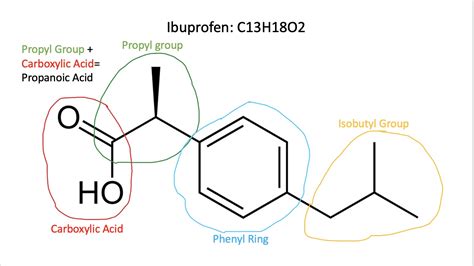 [Solved] Draw the structure and label all important functional groups ...