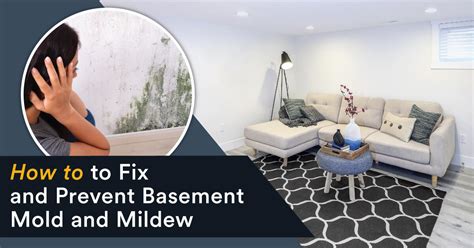 How to Prevent Mold in the Basement - Trusscore