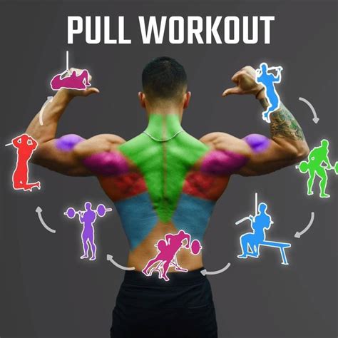 PULL WORKOUT (Back & Biceps & Rear Delts) | PULL WORKOUT! Here’s a ...