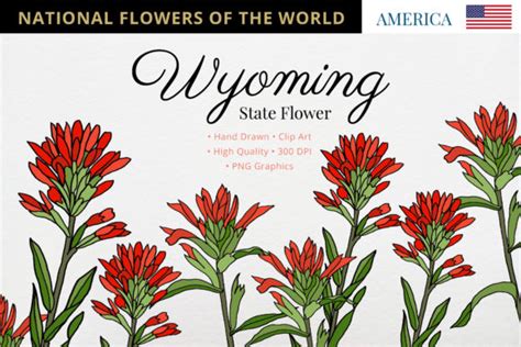 Wyoming State Flower Graphic by Hanatist Studio · Creative Fabrica