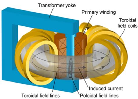 Schematic drawing of a tokamak-type magnetic trap. The toroidal vacuum... | Download Scientific ...