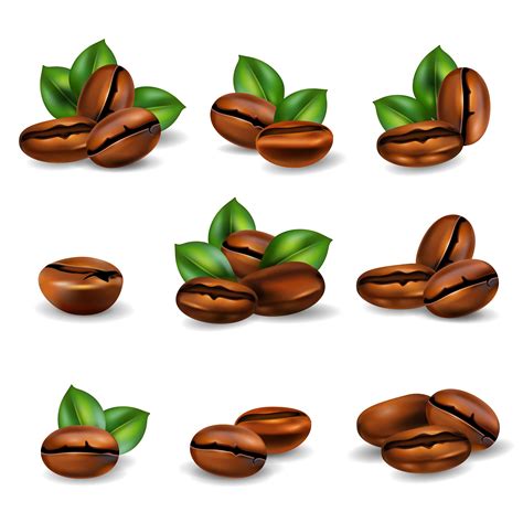 Coffee Beans Realistic Set 480830 Vector Art at Vecteezy