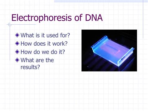 PPT - Electrophoresis of DNA PowerPoint Presentation, free download ...