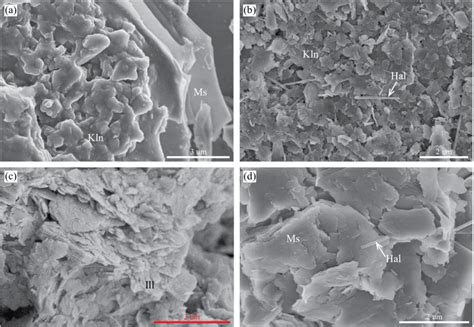 SEM images of other clay minerals in the saprolite and lower pedolith ...