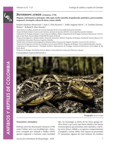 (PDF) Bothrops atrox (Linnaeus, 1758)