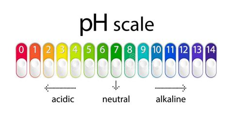 PH Scale Chart for Acid and Alkaline Solutions. Acid-base Balance ...