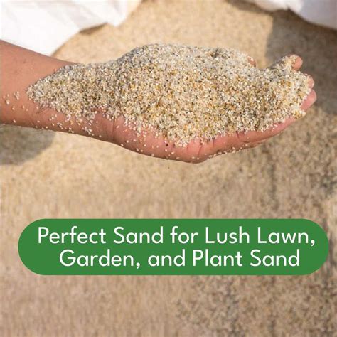 PLANTIC Natural River Sand Pure Organic Plants Soil Mix Additive 900 gm