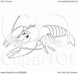 Lobster Clipart Clip Outline Coloring Drawing Pages Line Printable  sketch template