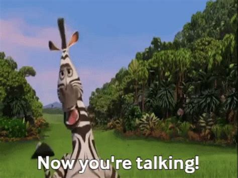 Madagascar Marty GIF - Madagascar Marty NowYoureTalking - Discover & Share GIFs | Madagascar ...