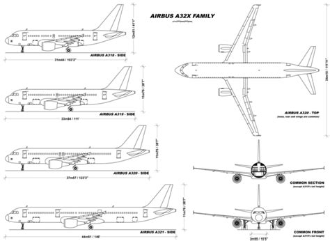 对比空客A320与A321 谁将是空客的“当家花旦”|空中客车集团|空客|客机_新浪新闻