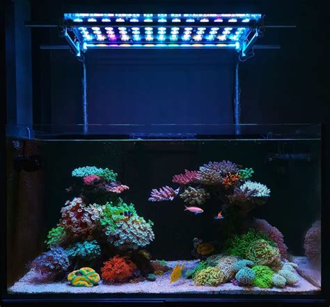 Best Reef LED lights Which is Orphek's best LED aquarium Light?