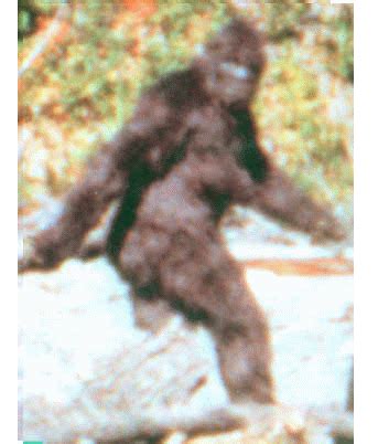 GIF bigfoot - animated GIF on GIFER