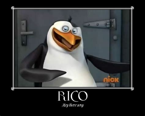 Image - Rico-penguins-of-madagascar-27913077-750-600.jpg - Madagascar Wiki