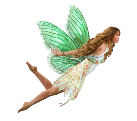 Fairy PNG