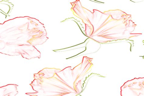 Flower Pencil Color Art Drawing Graphic by Custom Design Generator ...