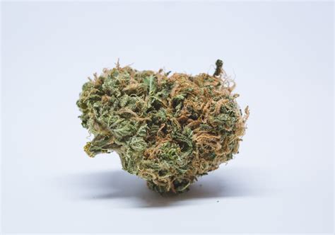 Banana OG Strain of Marijuana | Weed | Cannabis | Herb | Herb