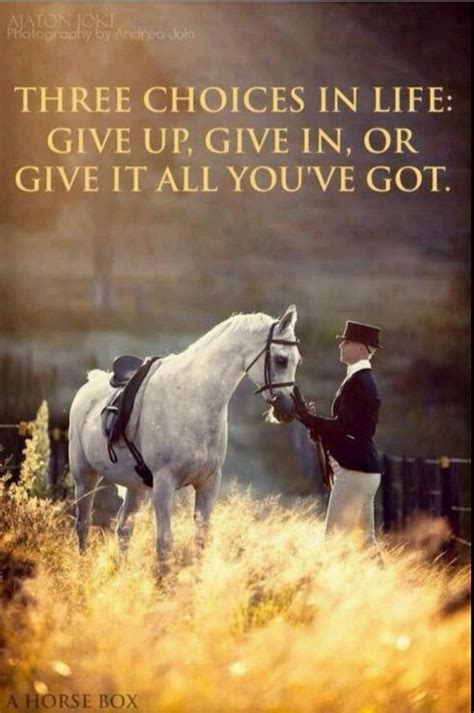 Not just with riding! in 2020 | Horse quotes, Horses, Inspirational ...