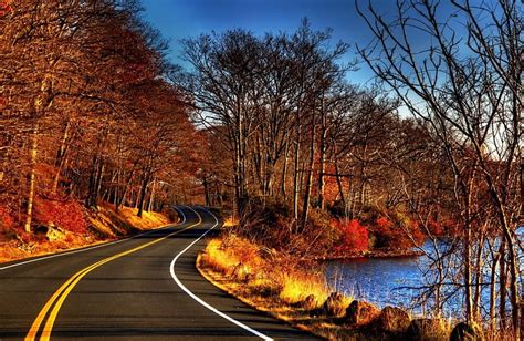 Autumn Road, fall, river, leaves, road, HD wallpaper | Peakpx