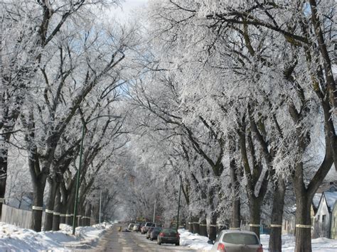 Winter in Winnipeg Bus Stop, Year 2, Manitoba, Winnipeg, December, Favorite Places, Canada ...