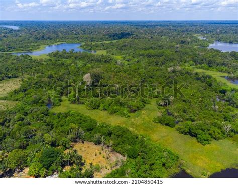 Aerial View Amazon Rainforest Brazil Incredible Stock Photo 2204850415 ...