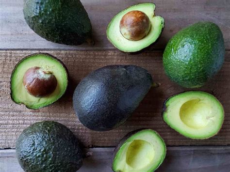 20 Awesome Avocado Varieties (Type A & Type B Avocados Explained) ~ Homestead and Chill