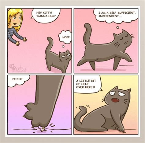 15 Comics Show Why It’s Never Boring To Live With A Cat