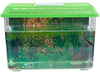 Grow a Frog Kit: Leopard Frog Tadpoles - Butterfly and Nature Gifts