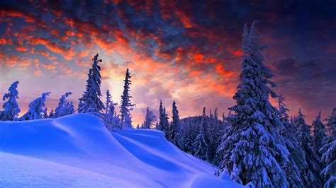 Download wallpaper 3840x2160 winter evening, beautiful sky, trees ...